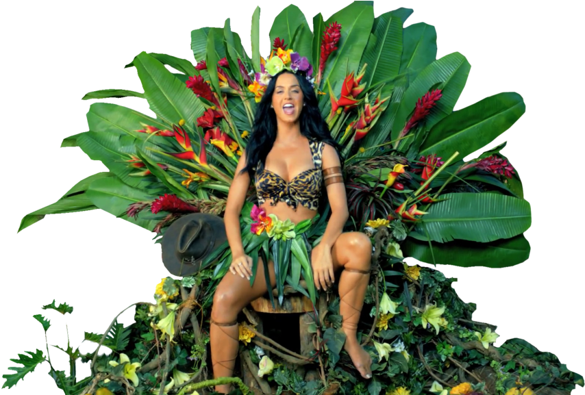 Katy Perry Roar Png - Katy Perry Roar Dress (1024x576), Png Download