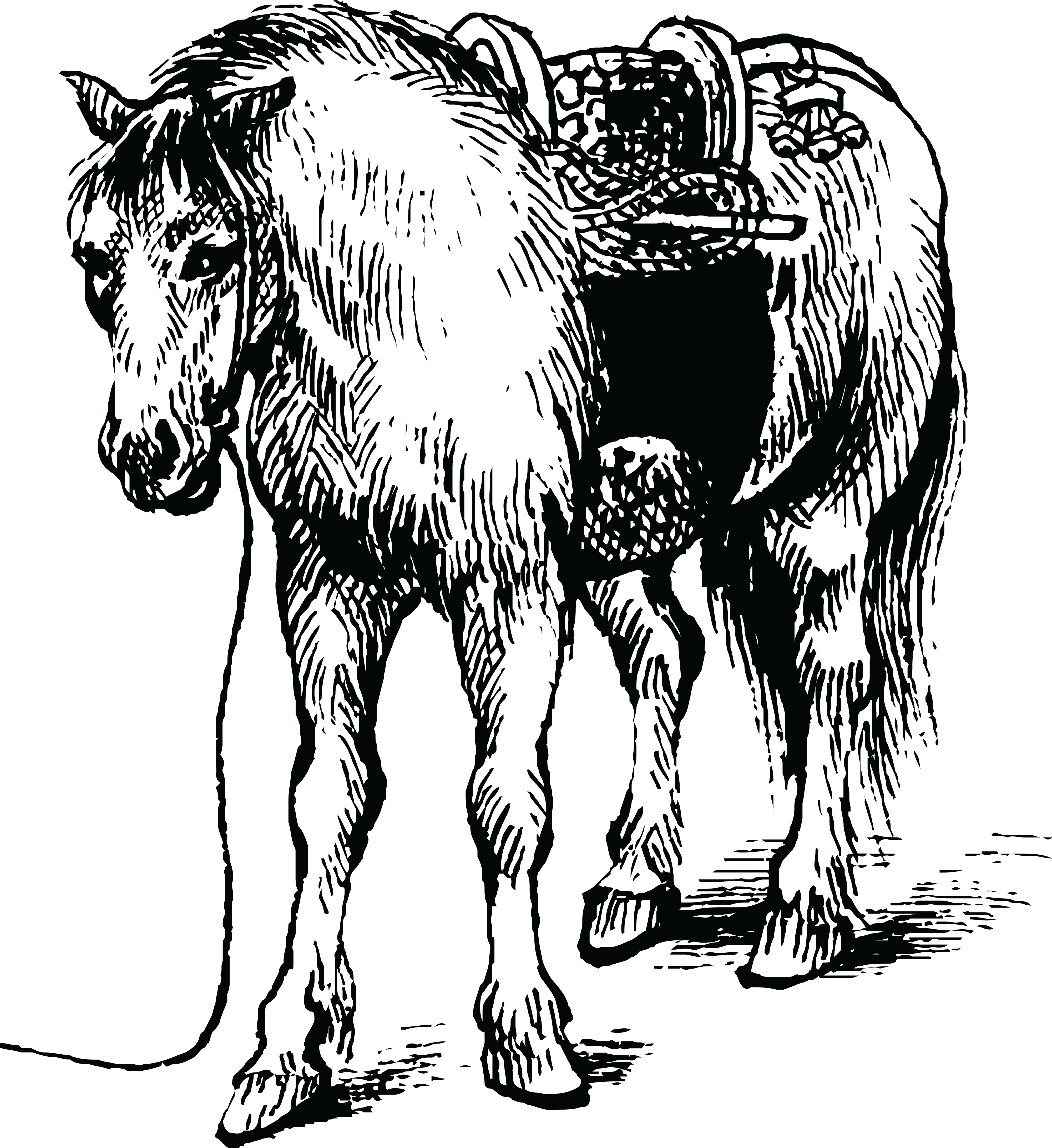 , , - Dibujo En Blanco Y Negro De Ciencia Y Tecnologia (4000x4363), Png Download