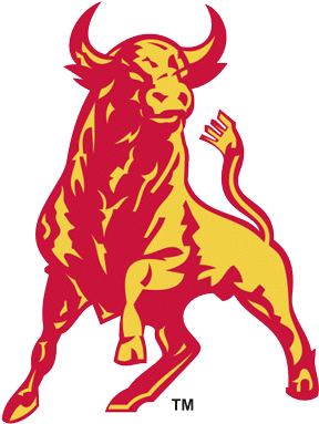 Belleville Bulls - Bulls Logo For Jersey (408x408), Png Download