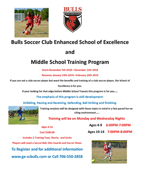 Bulls School Of Excellence - Bulls School (960x365), Png Download