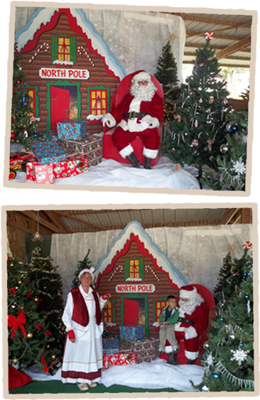 Celebrate Your Christmas Holidays At The Oil Ranch - Houston (430x592), Png Download