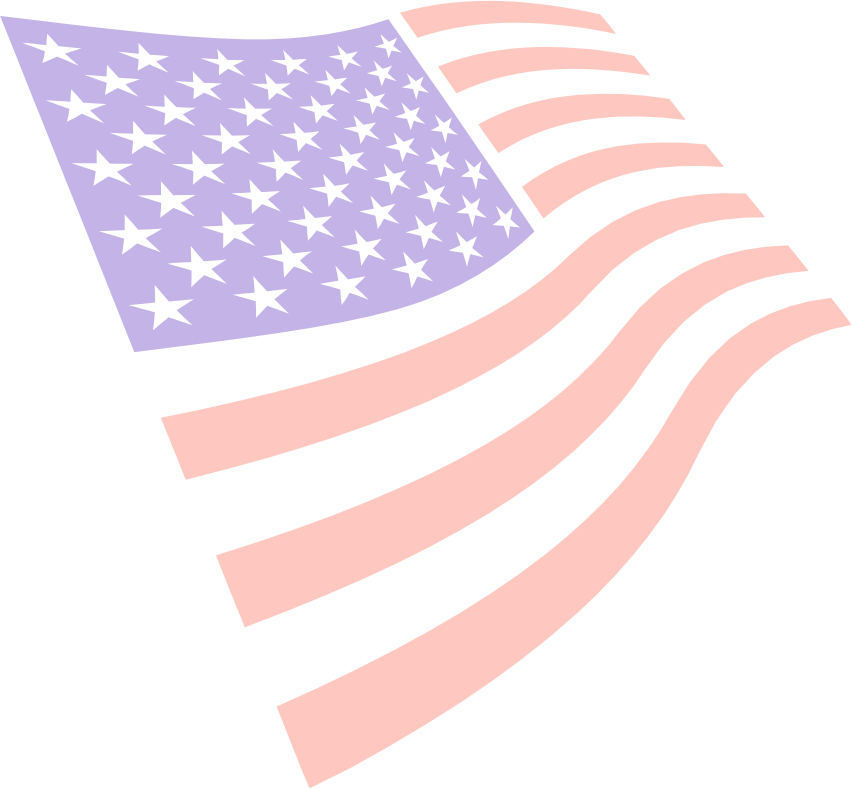 American Flag - Usa Flag (852x789), Png Download