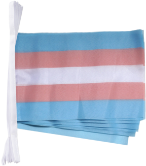 Long Transgender Pennant Banner - Throw Pillow (500x332), Png Download
