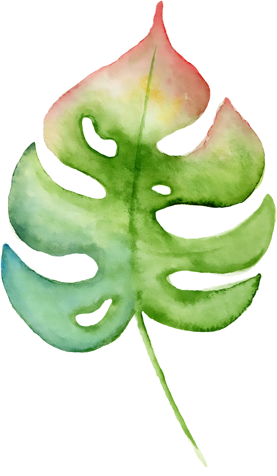 Hand Painted A Leaf Png Transparent - Watercolor Painting (1024x1699), Png Download