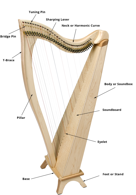 Harp Clipart Psalterion - Musical Instrument (540x762), Png Download