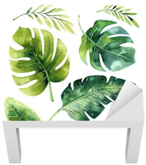 Hand Drawn Watercolor Tropical Plants Set - Brazilian Tropical Plant (400x400), Png Download