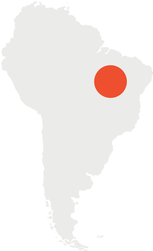 Brazil Map - Latin American Foreign Policies: Between Ideology And (1000x1000), Png Download