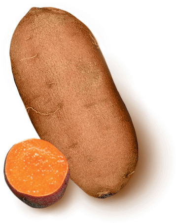 Moist & Sweet - Sweet Potato (500x500), Png Download