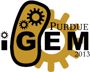 Girl Scout Biotechnology Badge - International Genetically Engineered Machine (384x384), Png Download
