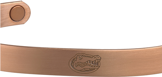 University Of Florida Gators - Plywood (535x535), Png Download