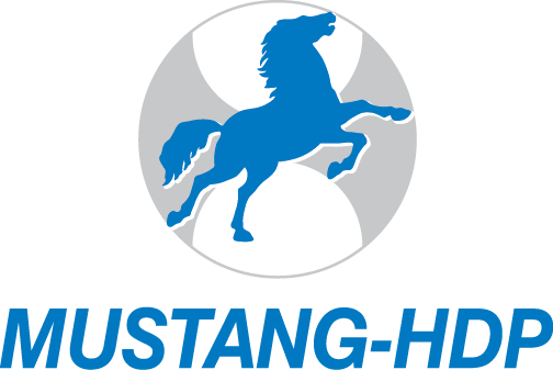 Mustang Hdp Jobs 2015 Saudi Arabia Apply Online - Mustang Engineering (504x337), Png Download