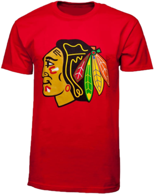 Chicago Blackhawks Biggie Logo T-shirt - Nhl Chicago Blackhawks Wall Hanging (421x480), Png Download