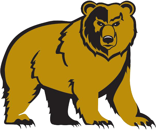 Banner Black And White Library Bears Clipart Golden - Shelbyville High School Golden Bears (622x522), Png Download