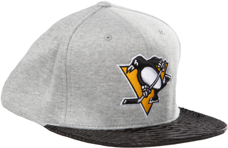 Pittsburgh Penguins Logo Just ☆ Don By Mitchell And - Nhl Snapback Pittsburgh Penguins (800x640), Png Download