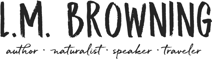 Explore Leslie's Literary Offerings - Missileman By John Clauson (773x265), Png Download