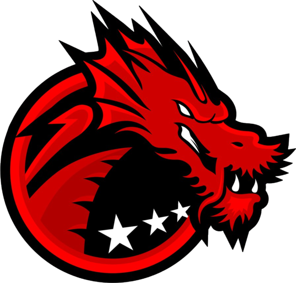 Binary Dragons Prestige Lan (600x573), Png Download