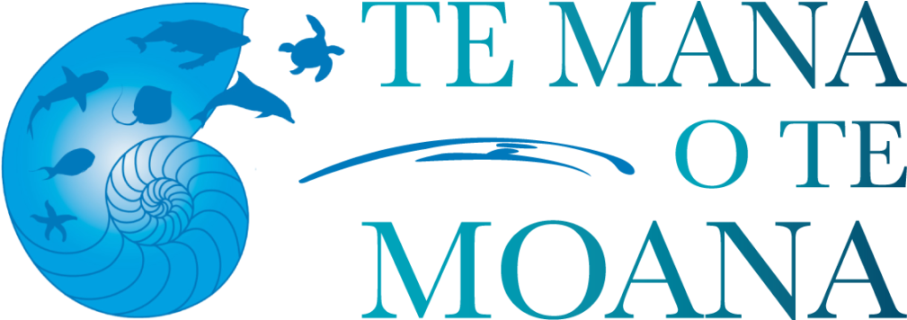 Logo Te Mana (1024x355), Png Download