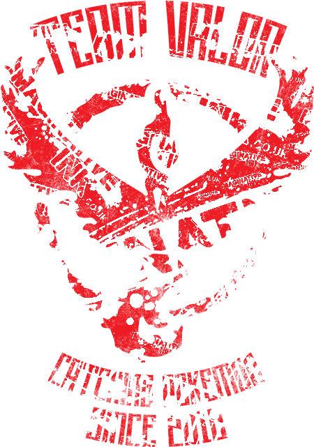 Hl-teamvalor1 - Graphic Design (600x640), Png Download
