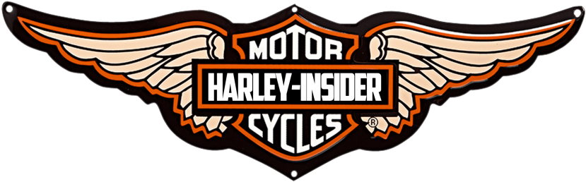 Free Png Harley Davidson Logo Png Images Transparent - Harley Davidson Transparent Logo (850x316), Png Download