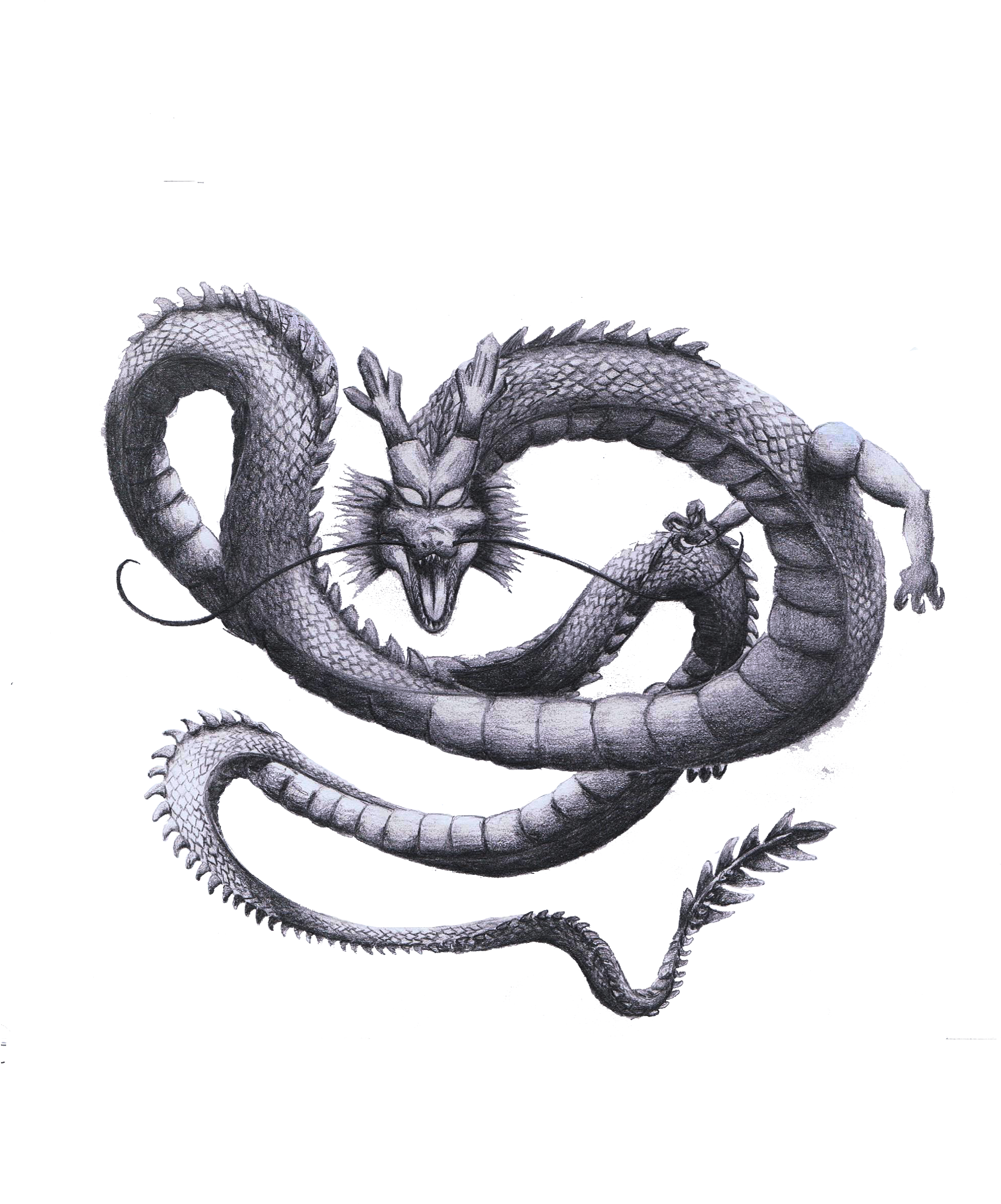 Shenron Transparent Drawing - Serpent (2338x3400), Png Download
