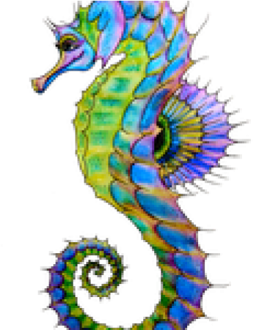 Seahorse Art (640x480), Png Download