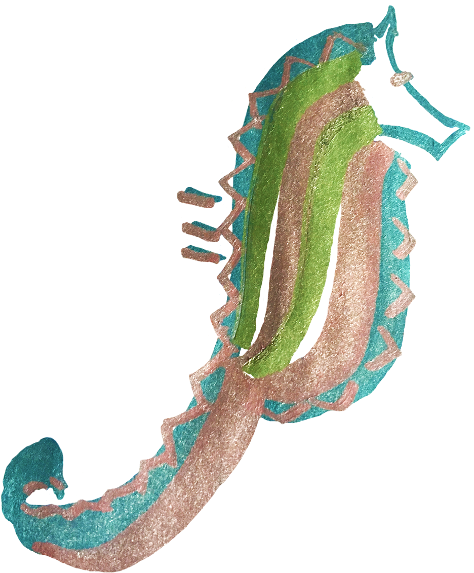 Medium Seahorse - United States Of America (1000x1159), Png Download