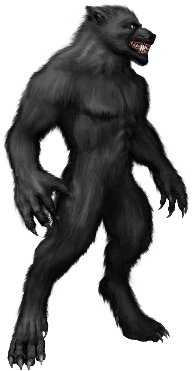 A Werewolf And Home Depot - Bipedal Wolf (726x1280), Png Download