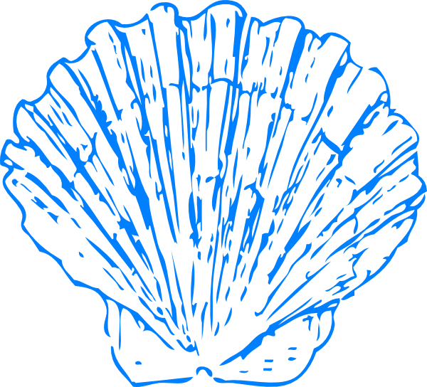 Shell Clipart Png Clipartfest Shells Clipart Png 600 - Shell Clipart Png (600x544), Png Download