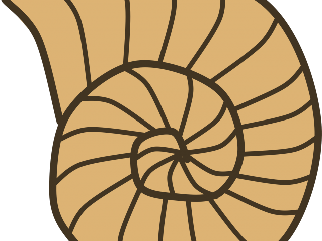 Shell Free On Dumielauxepices Net Fossil - Fossil Clip Art (640x480), Png Download