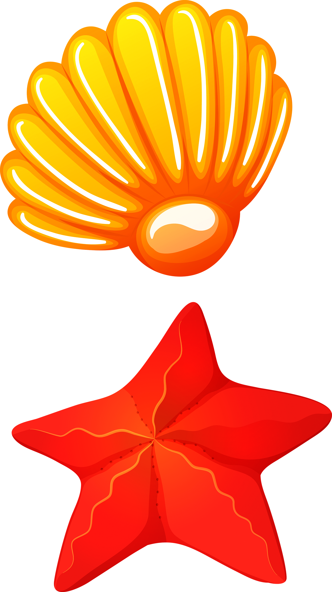 Seafood Seashell Clip Art - Seashell (1300x2316), Png Download