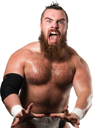 The Electric Guitar-playing 'iron Man' Is One Of The - Joe Coffey (365x500), Png Download