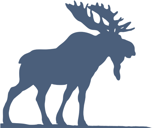 Digital Moose - Design Iphone 7 Plus Tough Case (1000x466), Png Download