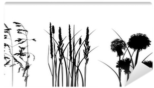 Black Grass Silhouettes Isolated On White Wall Mural - Illustration (400x400), Png Download