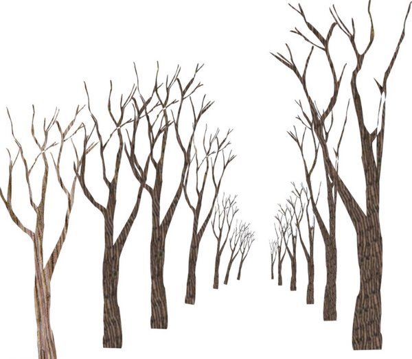 Arbre,png - Portable Network Graphics (600x523), Png Download