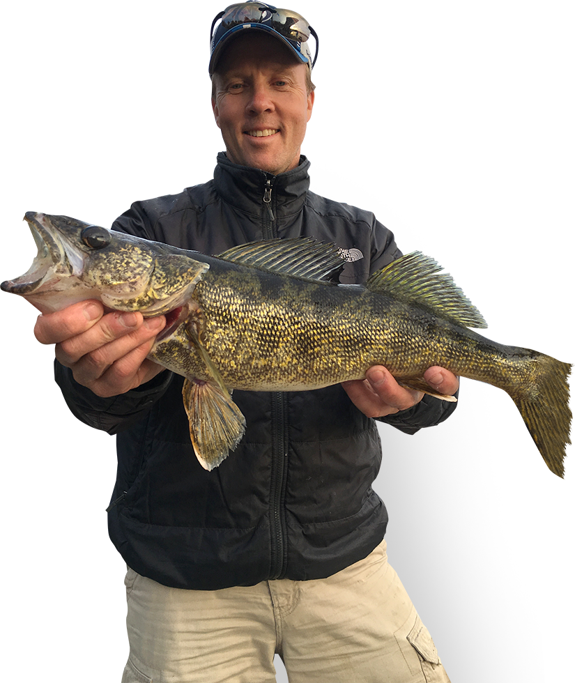 Gammon River East Outcamp - Carp (825x980), Png Download