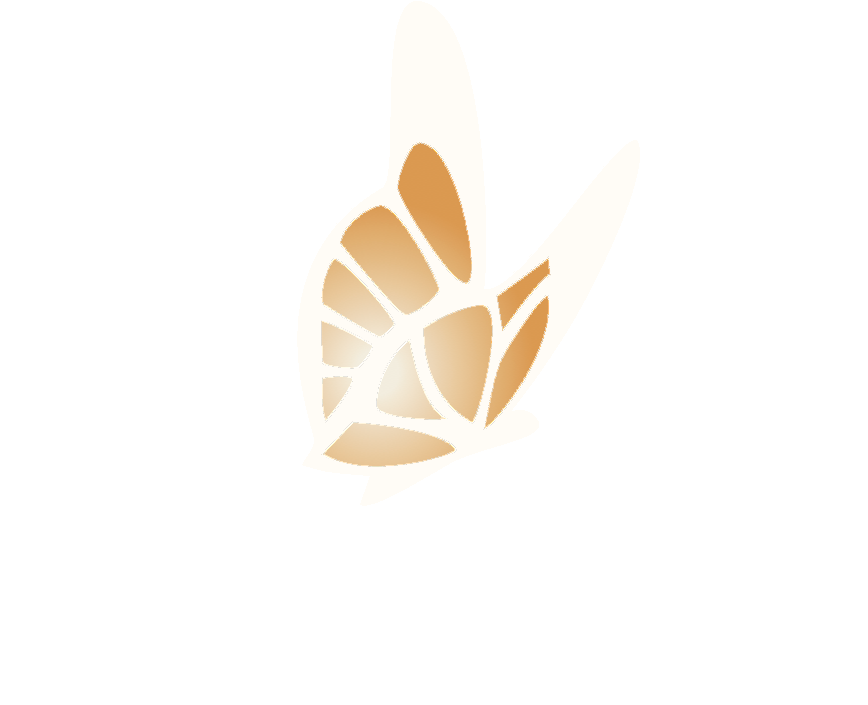 The Music Of Cris Velasco - Song Don Amitabh Bachchan (887x753), Png Download