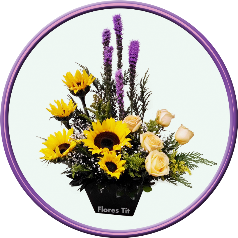 Imagen De Girasol - Mexico City (945x945), Png Download