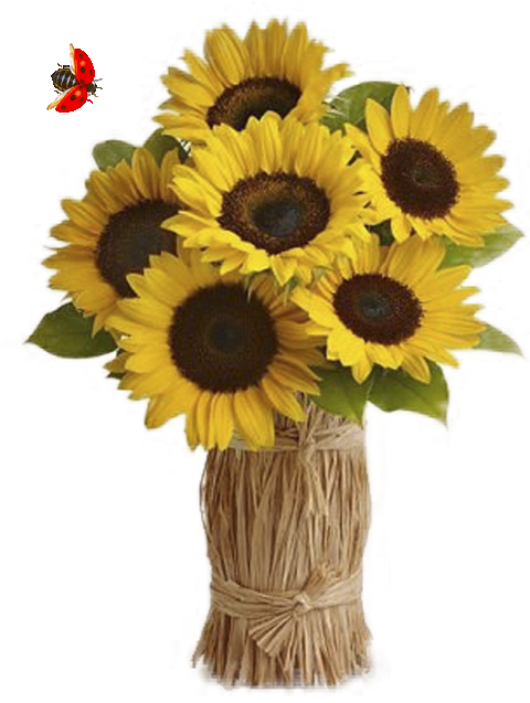 Girasoles - Flower Girl, Vase Of Sunflowers Card (1000x800), Png Download