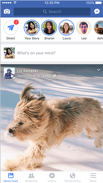 Dog Snapchat Filter Png (600x585), Png Download