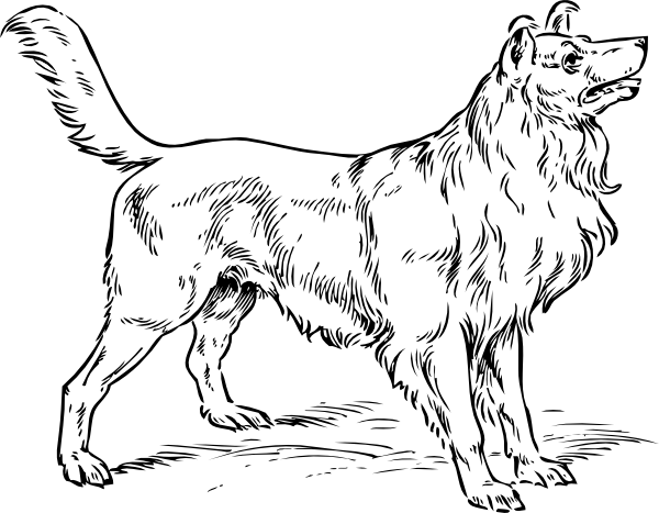 Simple Dog Outline - Dogs Black And White Drawings (600x467), Png Download
