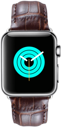 Mintapple Alligator Leather Apple Watch Strap - Apple Watch Screen Message (600x600), Png Download