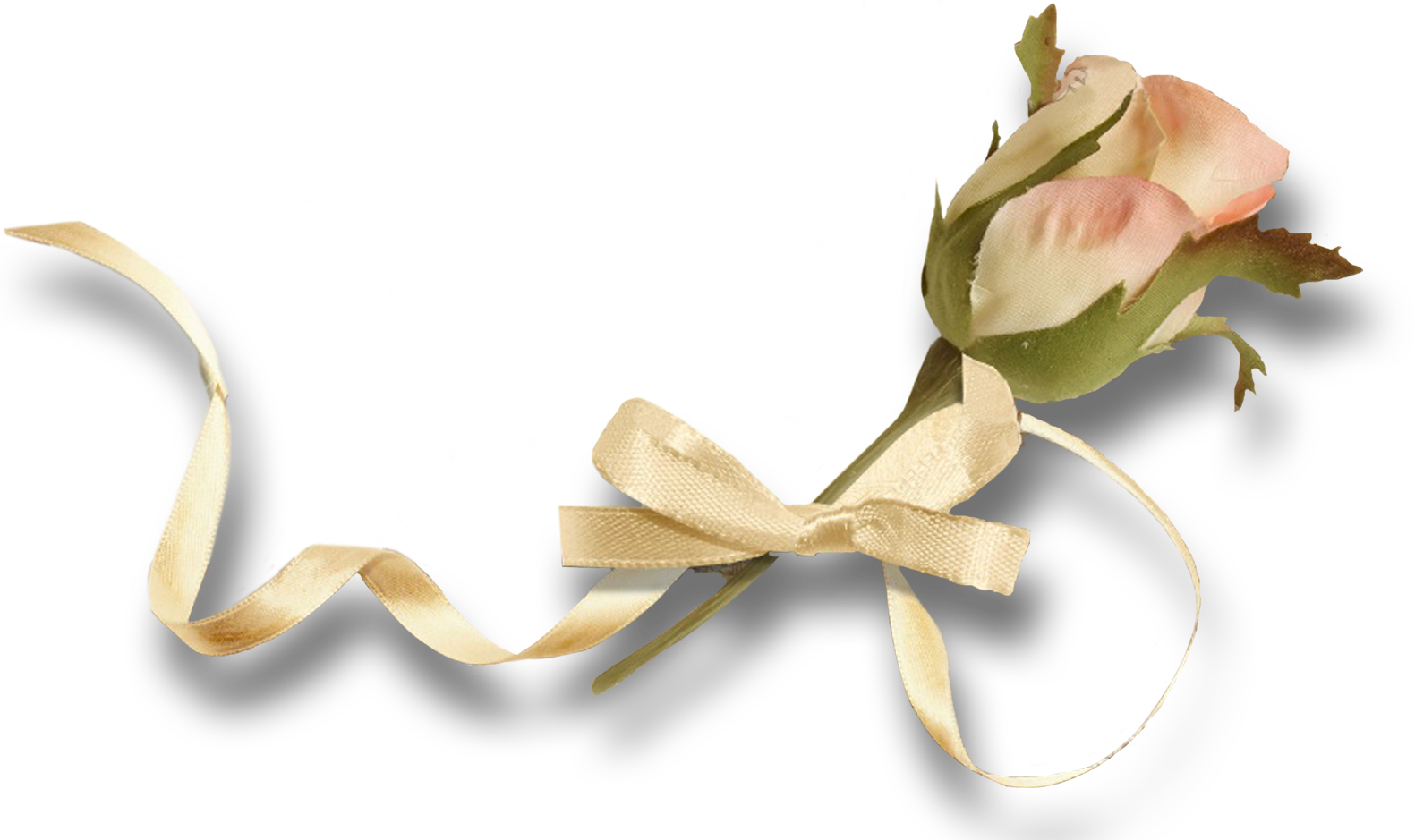 Vintage Rose - Garden Roses (1581x939), Png Download