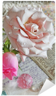 Hybrid Tea Rose (400x400), Png Download