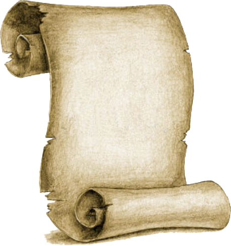 Written Book Anele Nele Matshisi - Bill Of Rights Scroll (460x490), Png Download