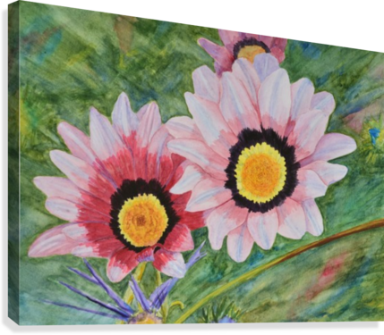 Two Daisies Canvas Print - Gazania (429x375), Png Download