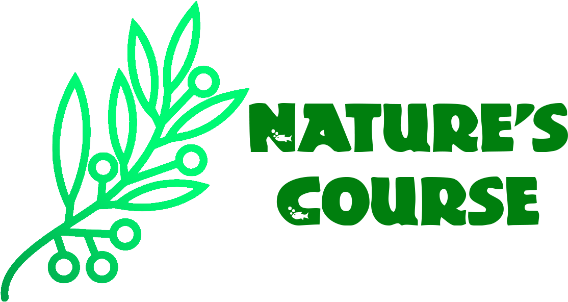 Logo Font (1168x633), Png Download