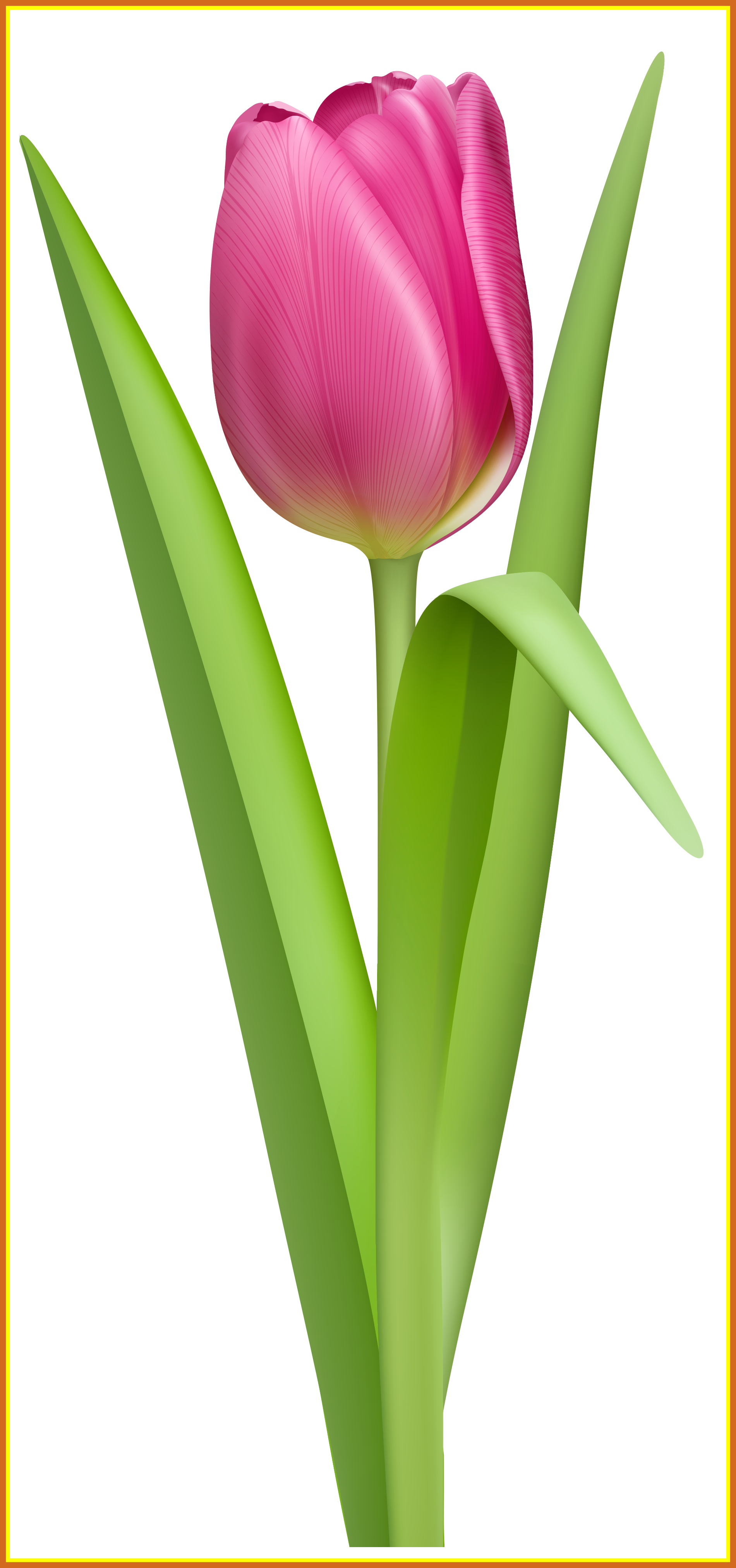 Inspiring Best Daisies Quotes - Tulpe Clipart (1901x4050), Png Download