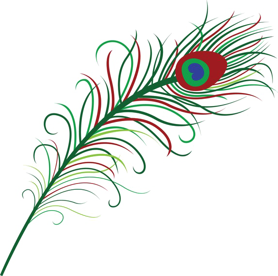 Peacock Feather Png Photo - Peacock Feather Clipart Png (573x570), Png Download