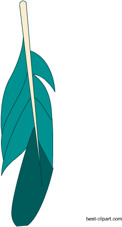 Free Teal Feather - Clip Art (450x450), Png Download