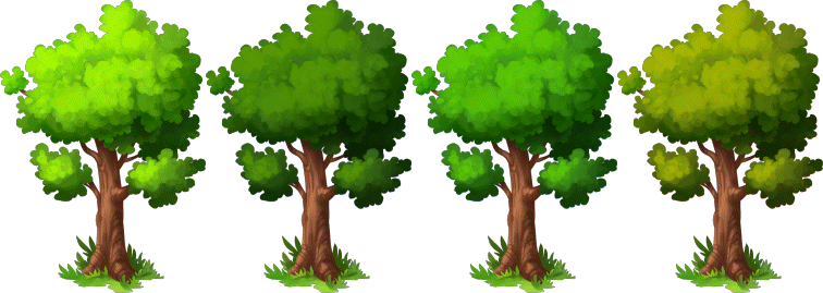 Decoration Oak Tree Colors - Oak (756x269), Png Download